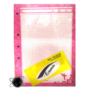 Repuesto Hojas para Folder